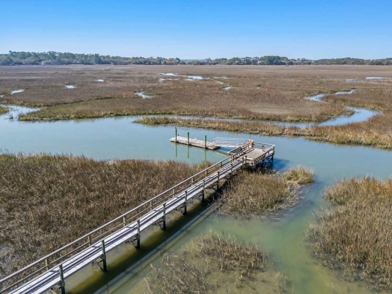 1723 Live Oak Park Photo 31