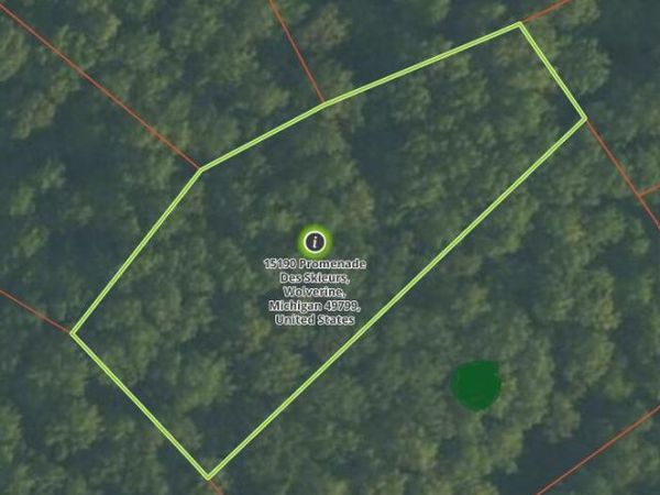 15190 Promenade Des Skieurs, Wolverine, MI 49799