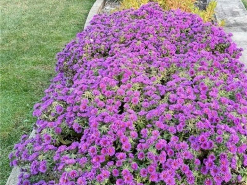 45002 Middle Ridge Road, Amherst, OH 44001 Photo 17