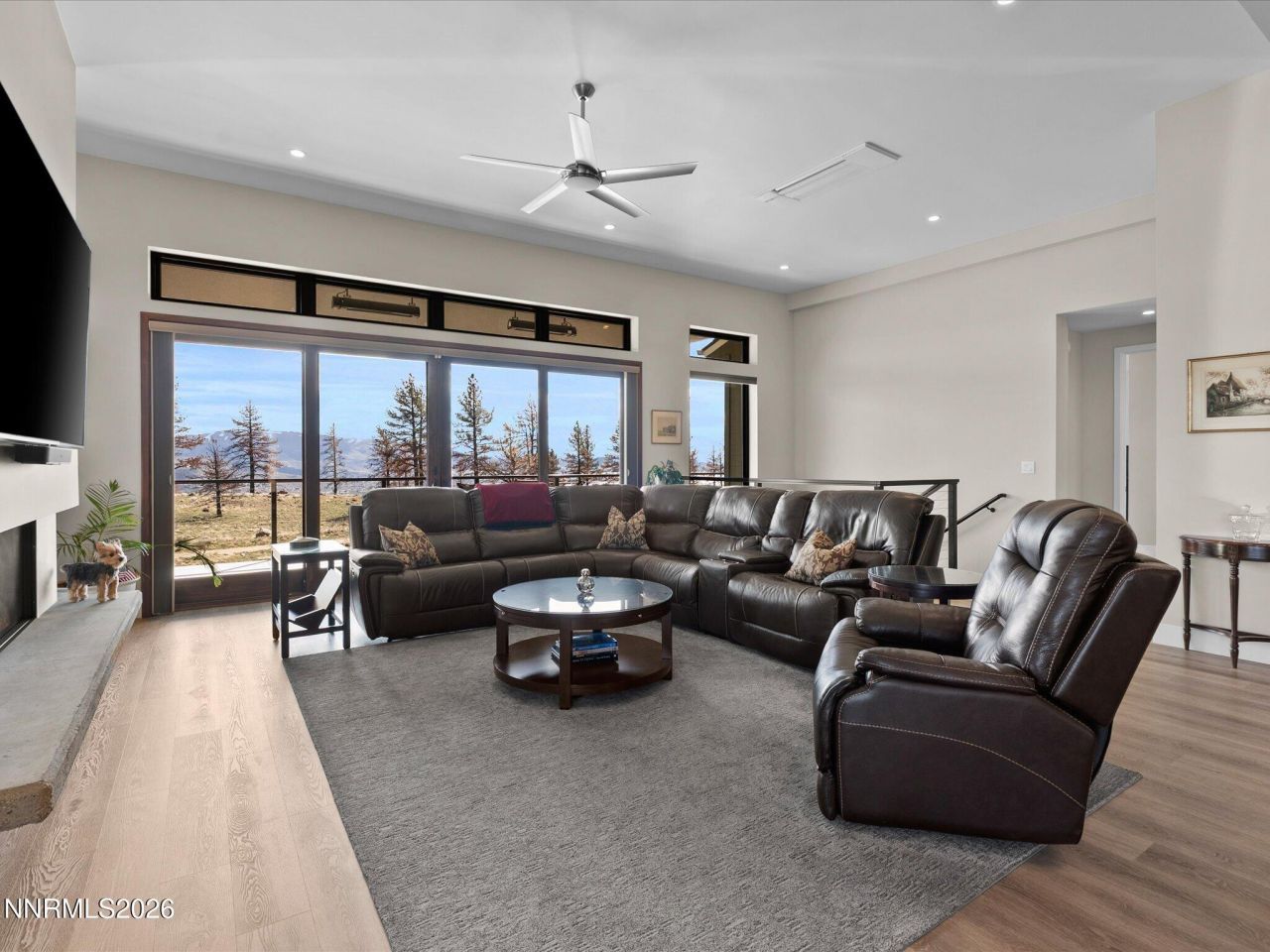 660 Sand Cherry Court, Reno, NV 89511 Photo