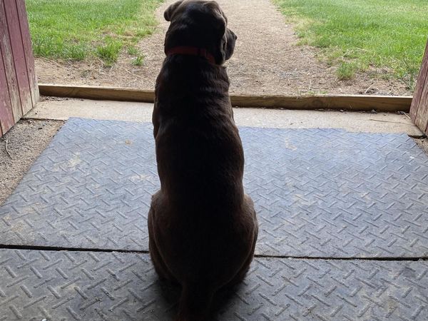 181 EQUUS LOOP, Natural Bridge, VA 24578