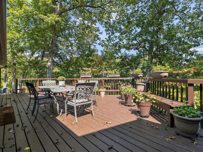 3 Northall Court, Ryland Heights, KY 41015 Photo 39