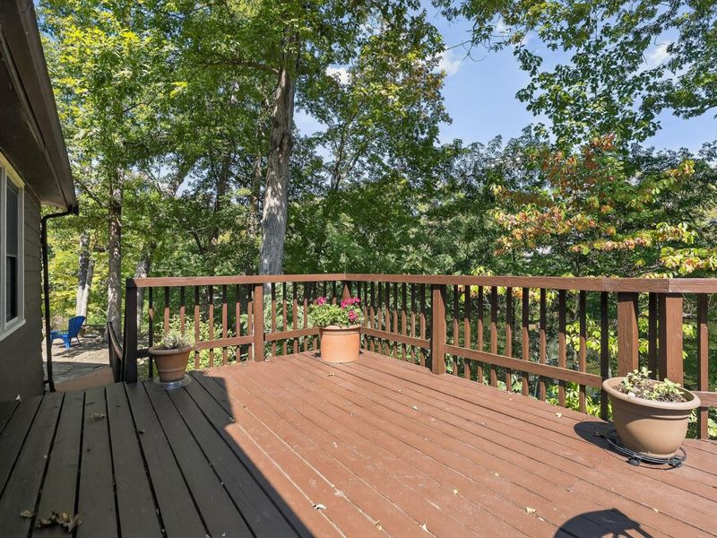 3 Northall Court, Ryland Heights, KY 41015 Photo 40