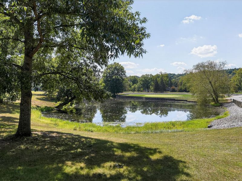 3 Northall Court, Ryland Heights, KY 41015 Photo 48