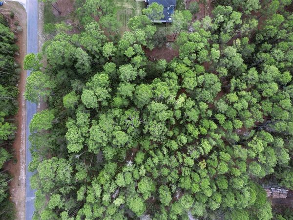 CASHEW STREET , EUSTIS, FL 32736