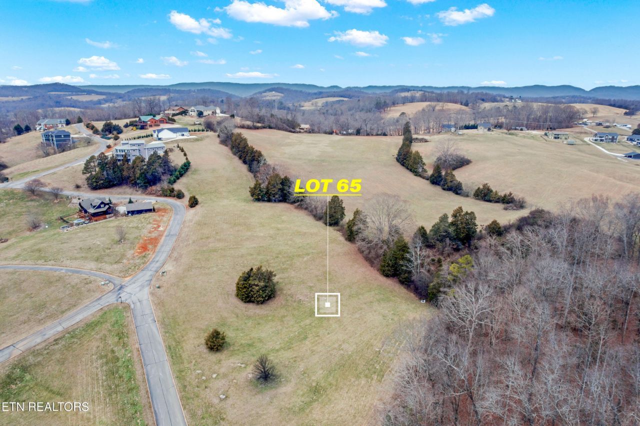 Lot 65 Cow Poke Lane, Rutledge, TN 37861 Main Photo
