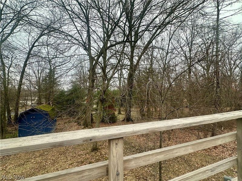 820 Hartzell Avenue, Niles, OH 44446 Photo 39