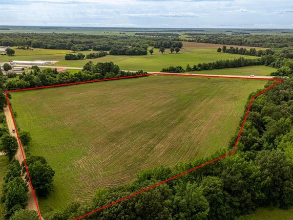 10 Acres 761 Road, Brookland, AR 72417