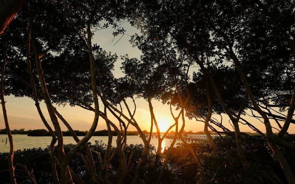 14401 Masthead Drive, Osprey, FL 34229 Photo