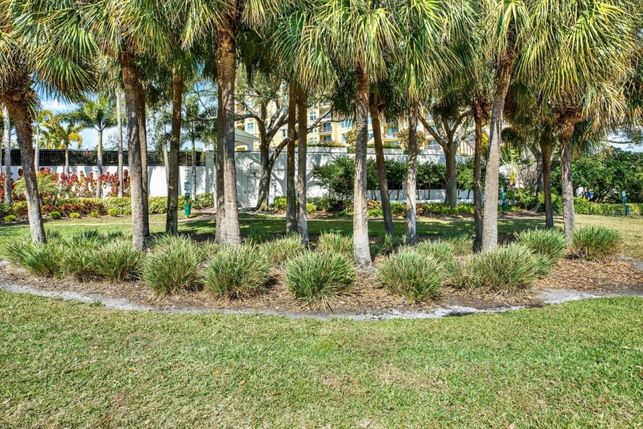 345 Bayshore Boulevard, Unit 302, Tampa, FL 33606 Photo