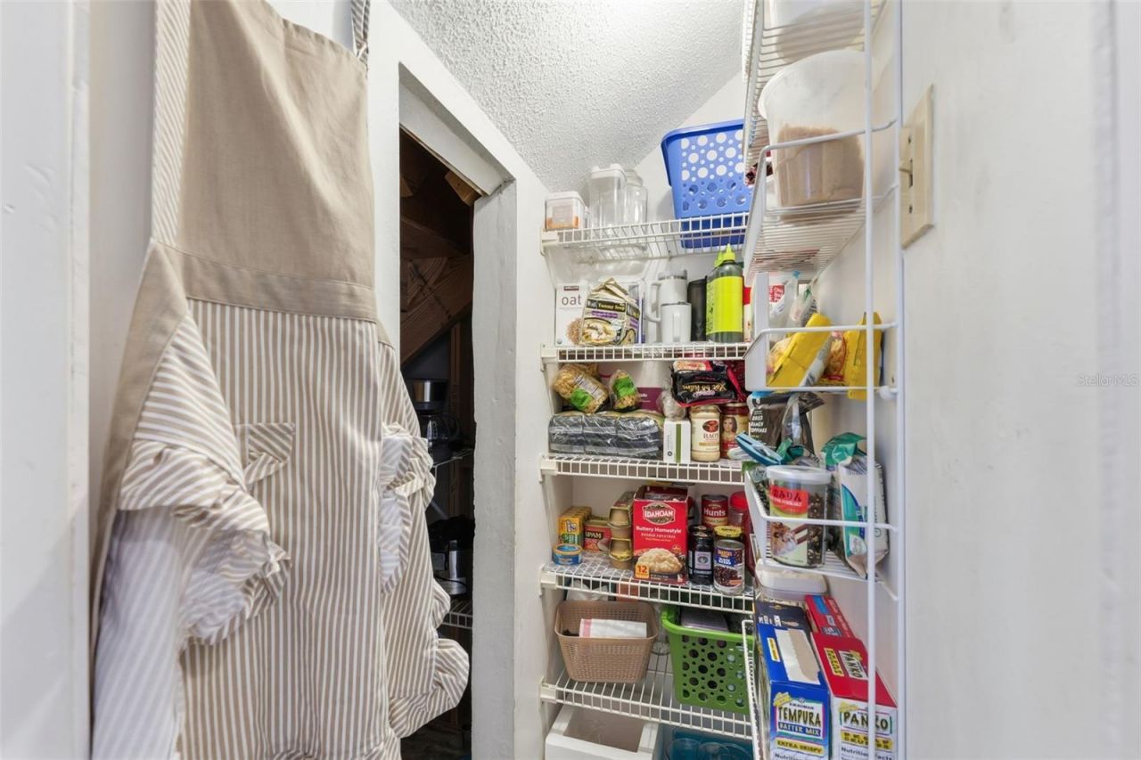 12935 Rain Forest Street, Temple Terrace, FL 33617 Photo