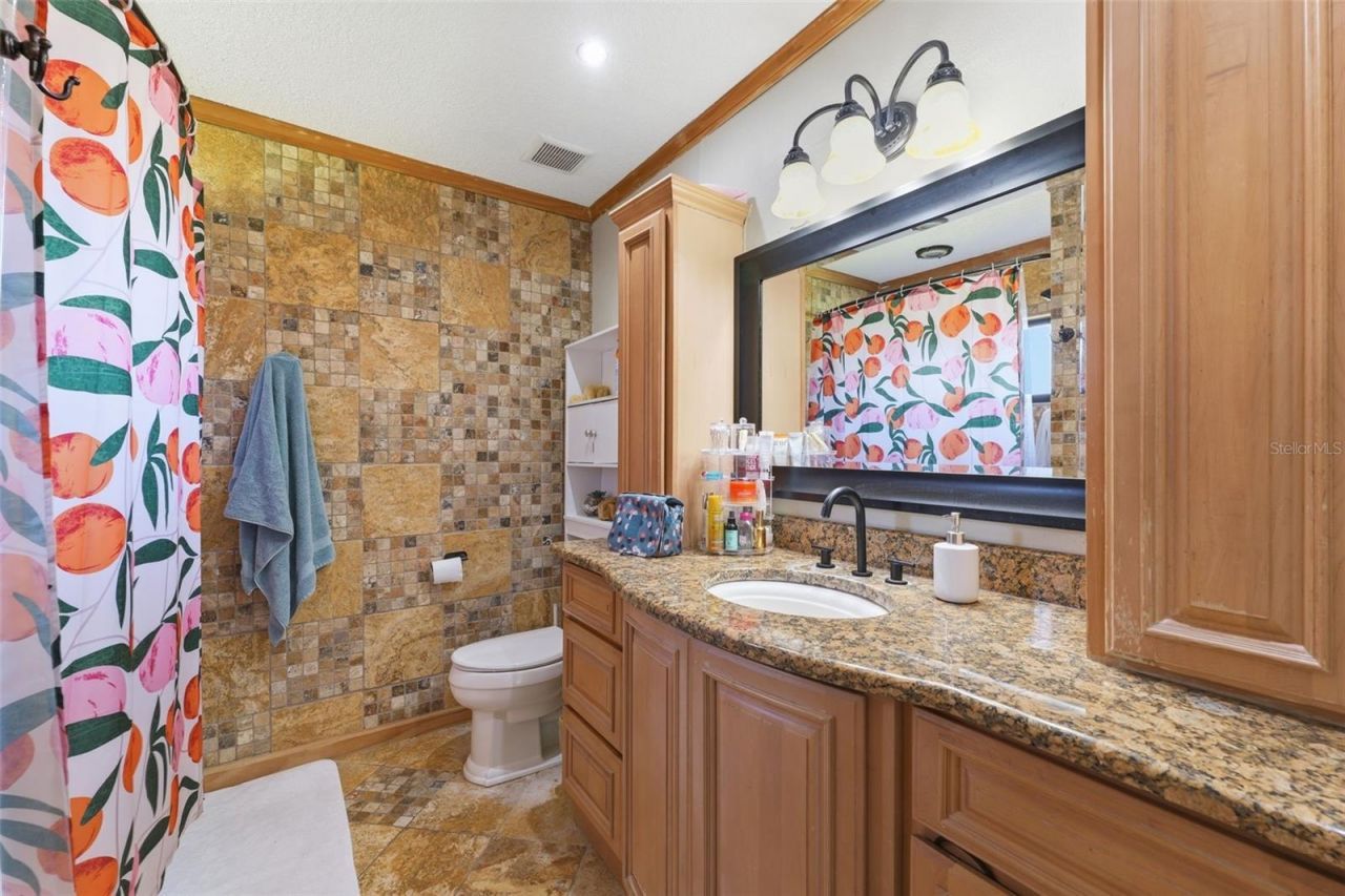 12935 Rain Forest Street, Temple Terrace, FL 33617 Photo