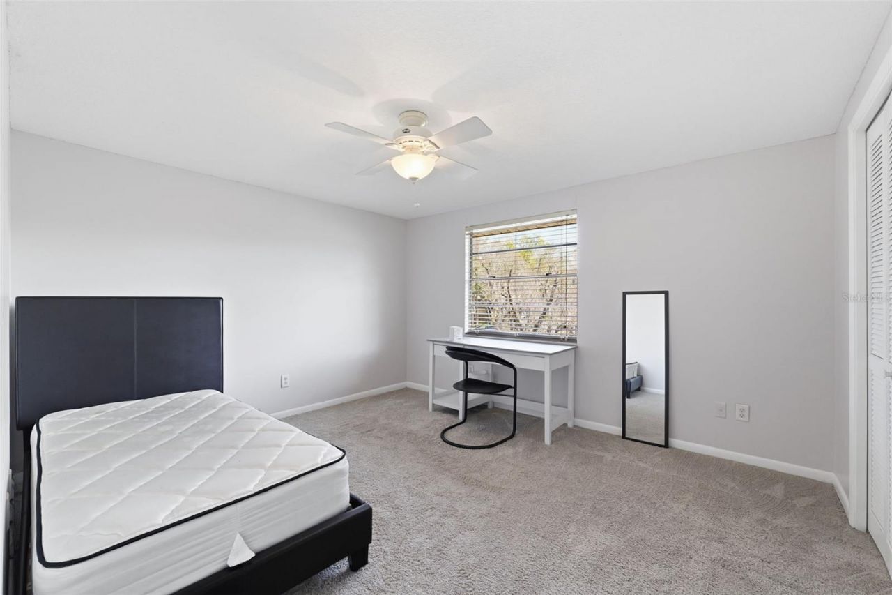 12935 Rain Forest Street, Temple Terrace, FL 33617 Photo