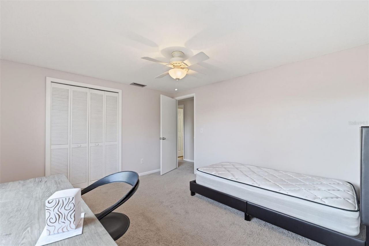 12935 Rain Forest Street, Temple Terrace, FL 33617 Photo