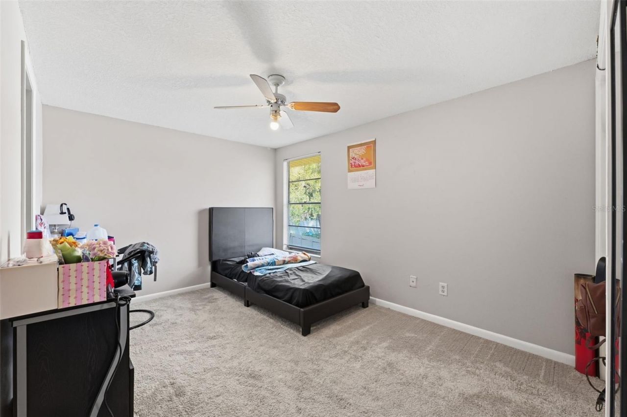 12935 Rain Forest Street, Temple Terrace, FL 33617 Photo