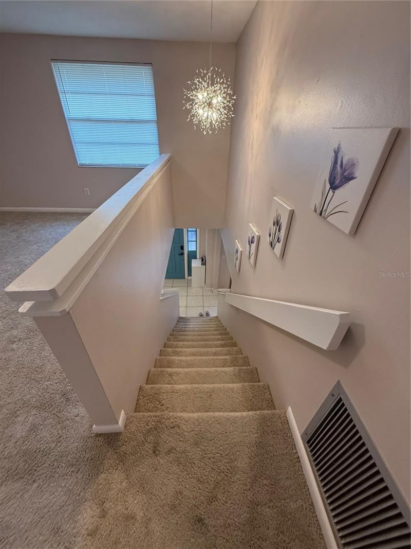 12935 Rain Forest Street, Temple Terrace, FL 33617 Photo