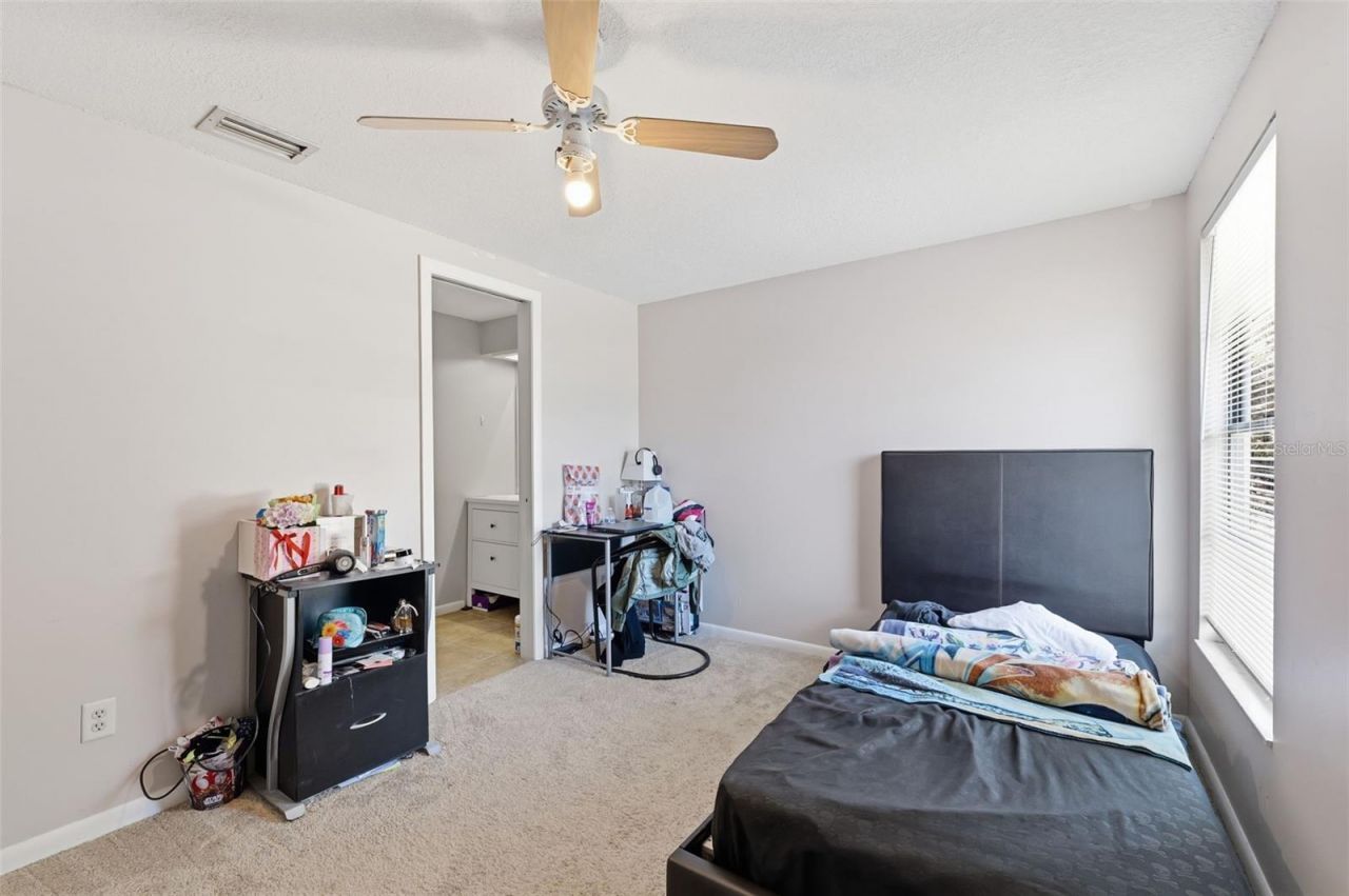 12935 Rain Forest Street, Temple Terrace, FL 33617 Photo