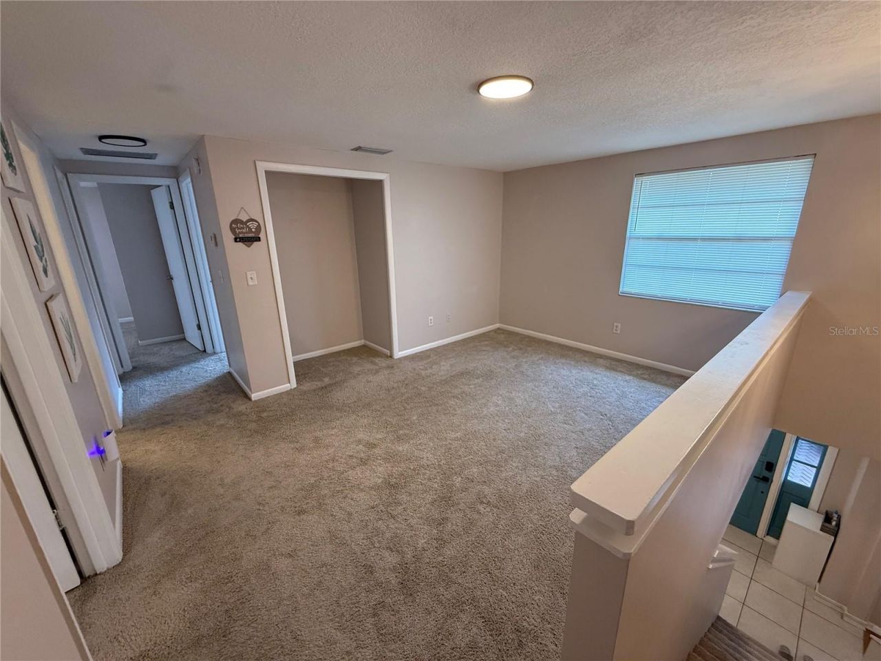 12935 Rain Forest Street, Temple Terrace, FL 33617 Photo