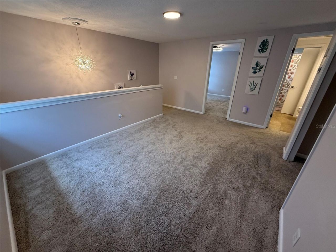 12935 Rain Forest Street, Temple Terrace, FL 33617 Photo