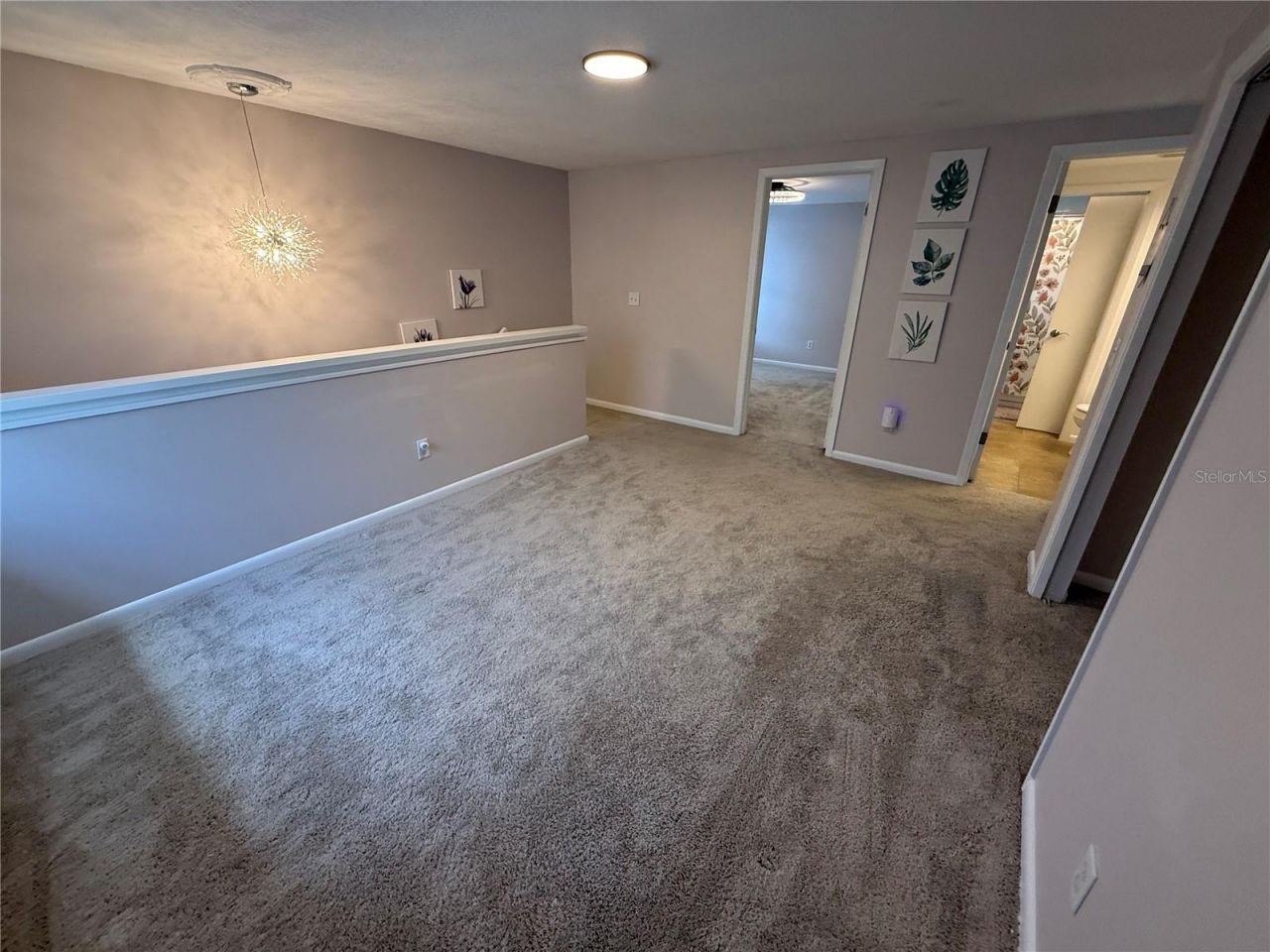 12935 Rain Forest Street, Temple Terrace, FL 33617 Photo