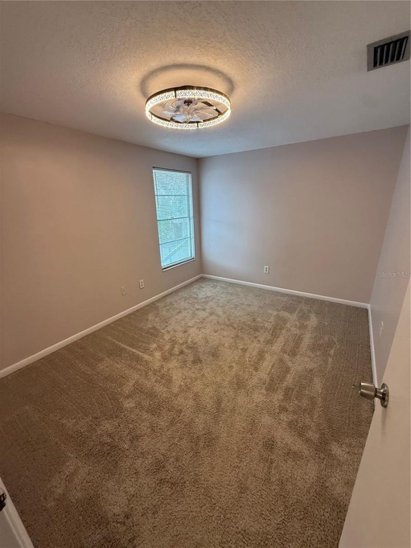 12935 Rain Forest Street, Temple Terrace, FL 33617 Photo