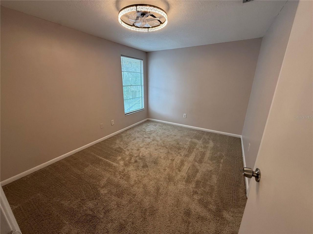 12935 Rain Forest Street, Temple Terrace, FL 33617 Photo