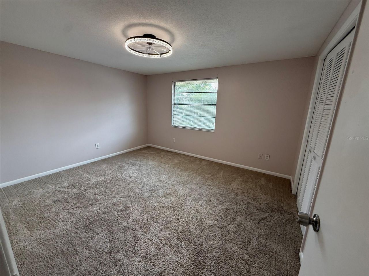 12935 Rain Forest Street, Temple Terrace, FL 33617 Photo