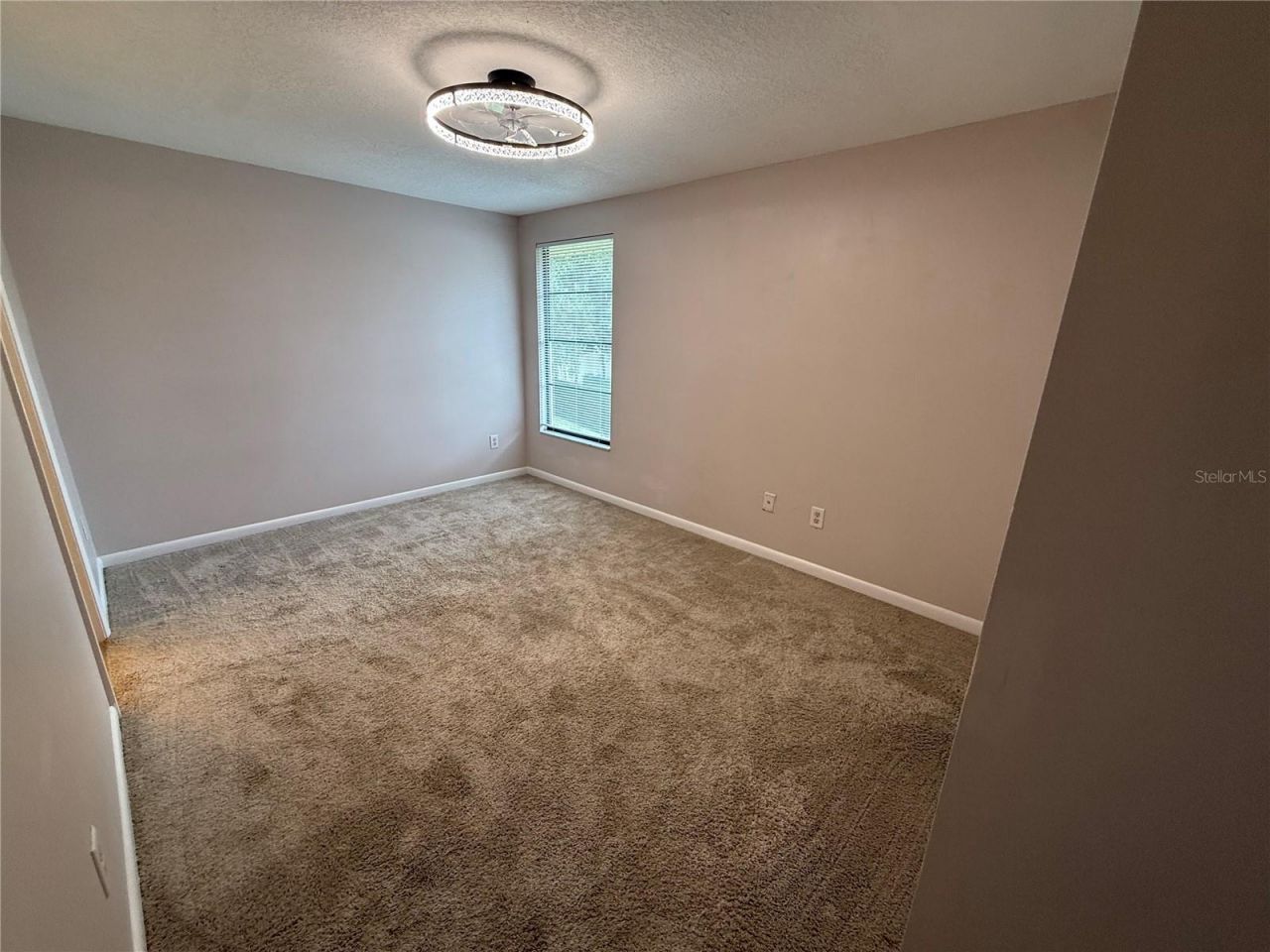 12935 Rain Forest Street, Temple Terrace, FL 33617 Photo