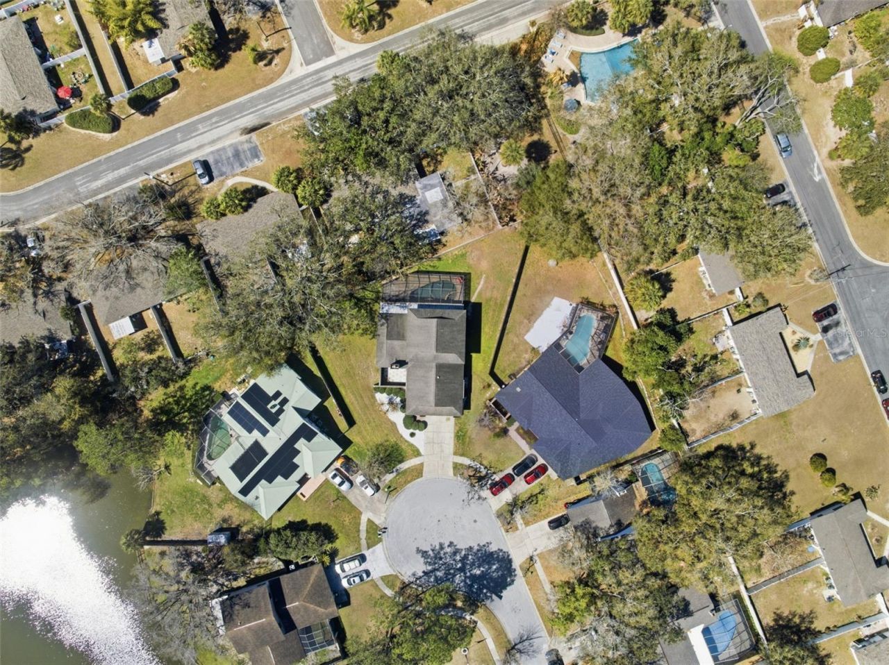 12935 Rain Forest Street, Temple Terrace, FL 33617 Photo