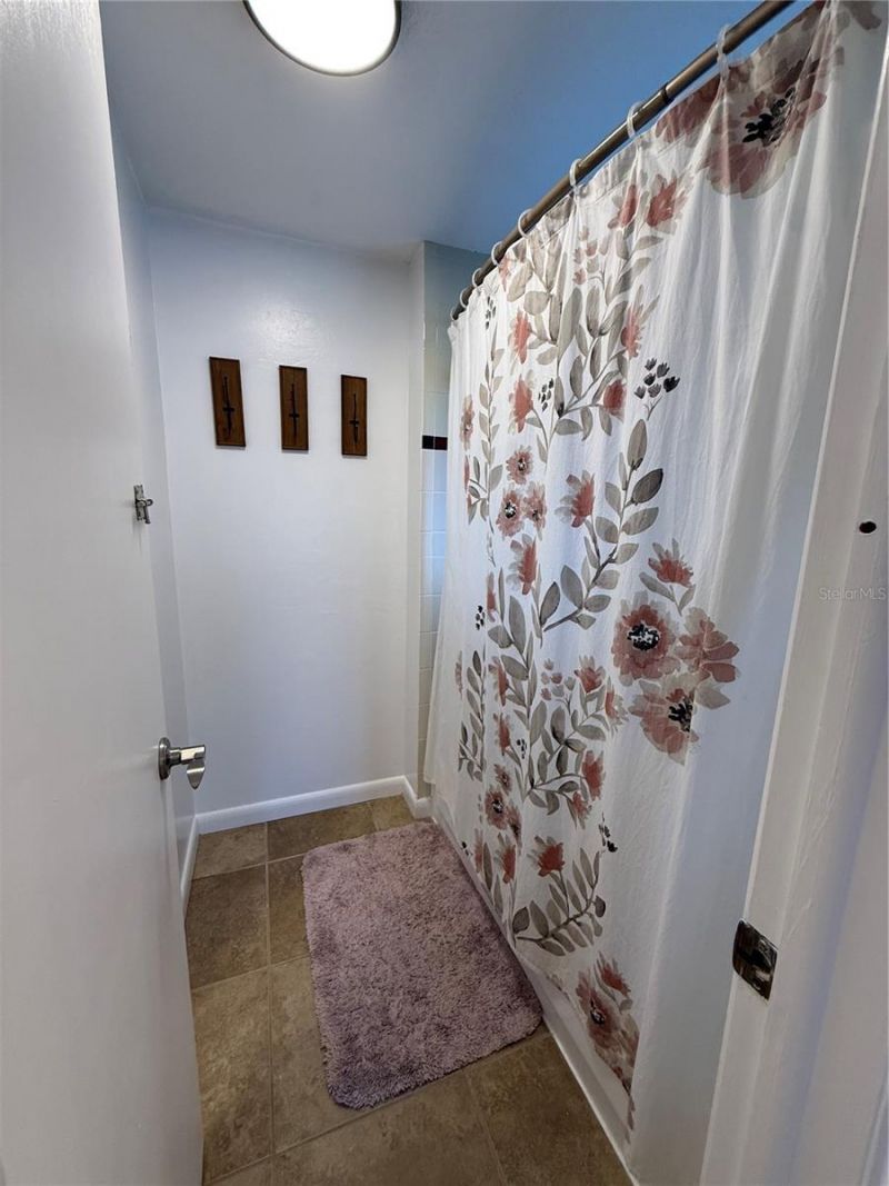 12935 Rain Forest Street, Temple Terrace, FL 33617 Photo