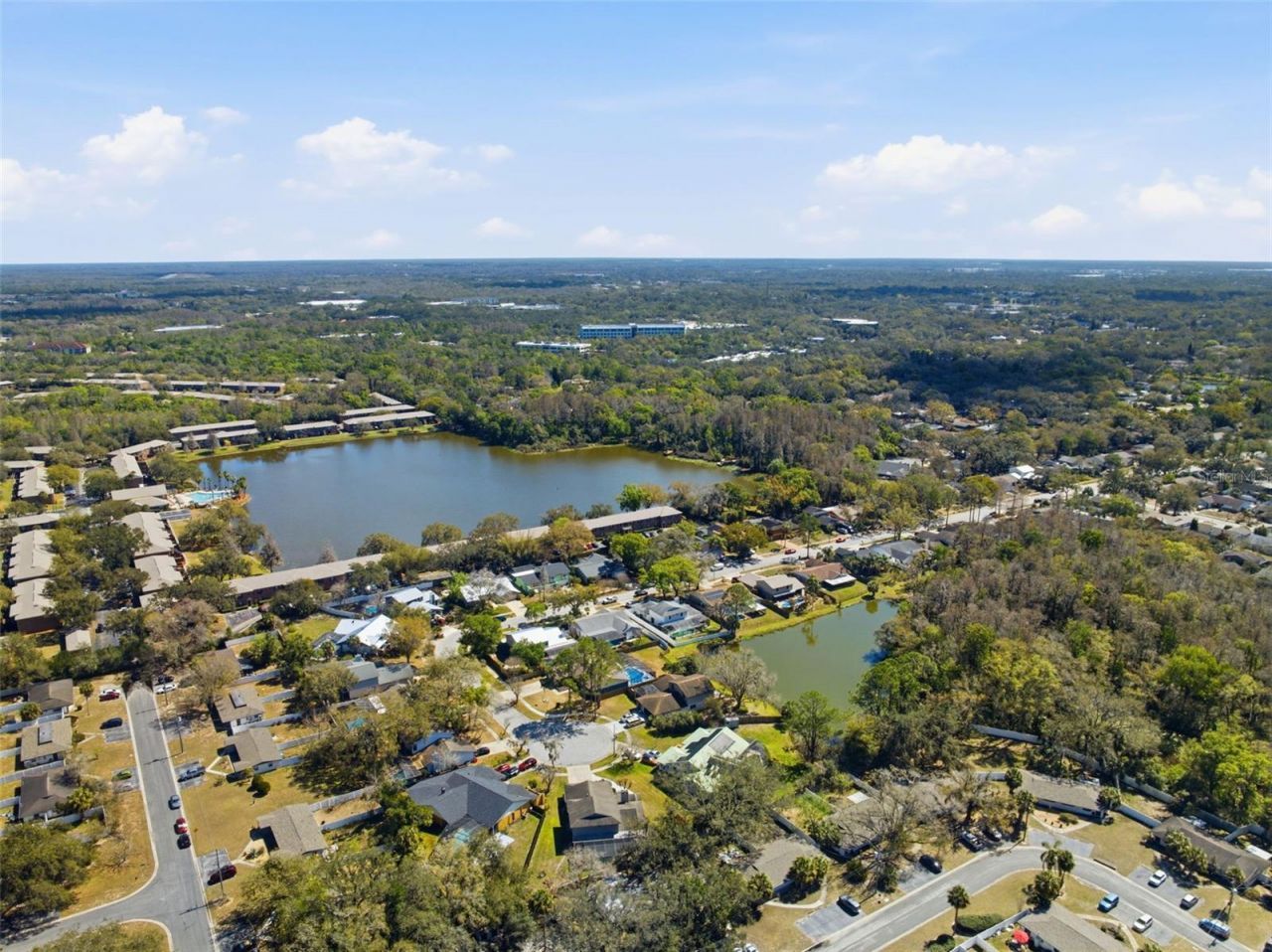 12935 Rain Forest Street, Temple Terrace, FL 33617 Photo