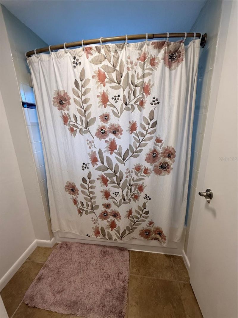 12935 Rain Forest Street, Temple Terrace, FL 33617 Photo