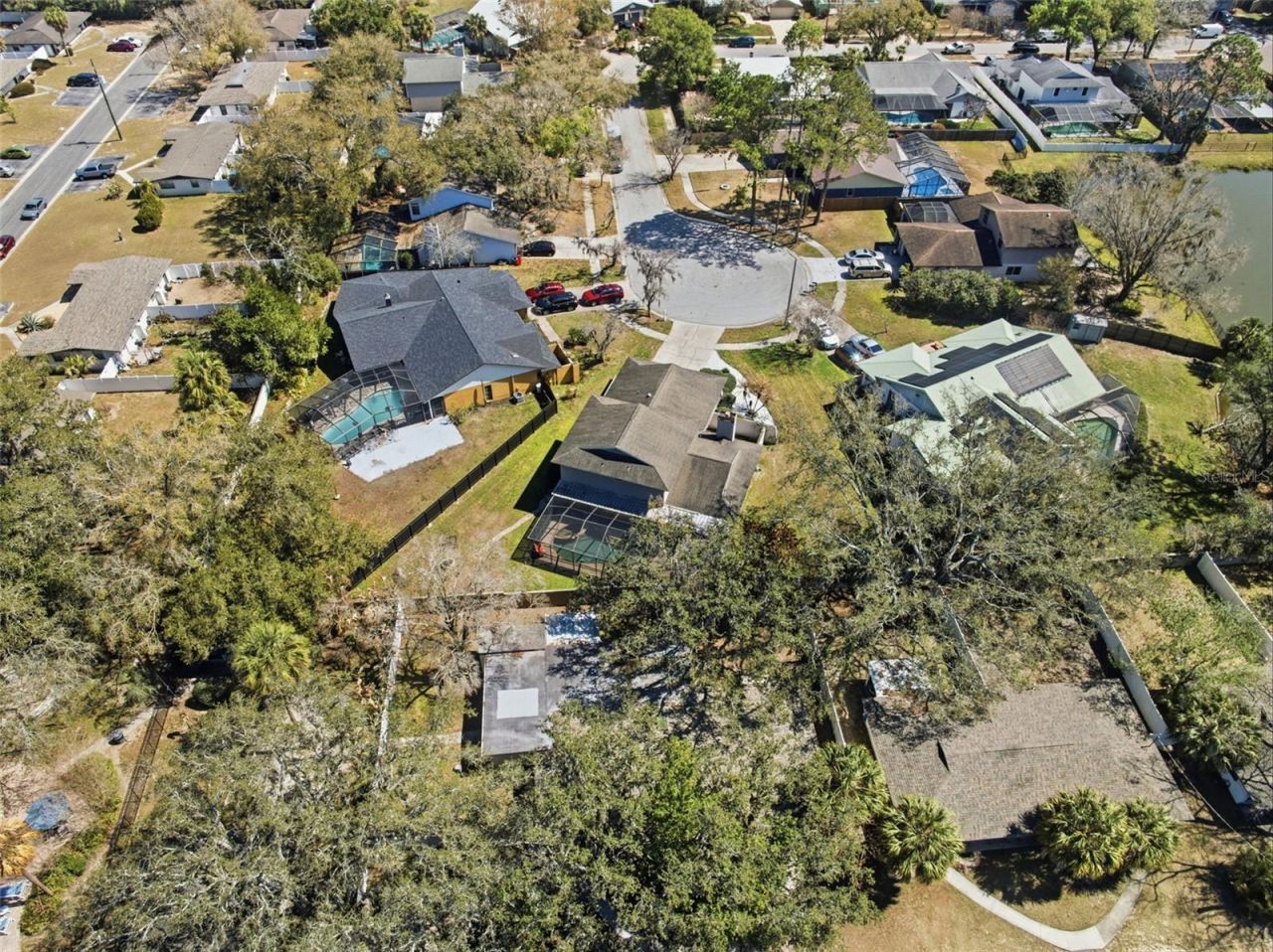 12935 Rain Forest Street, Temple Terrace, FL 33617 Photo