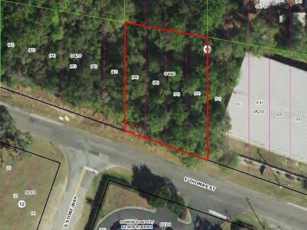 3081 E THOMAS STREET , INVERNESS, FL 34453