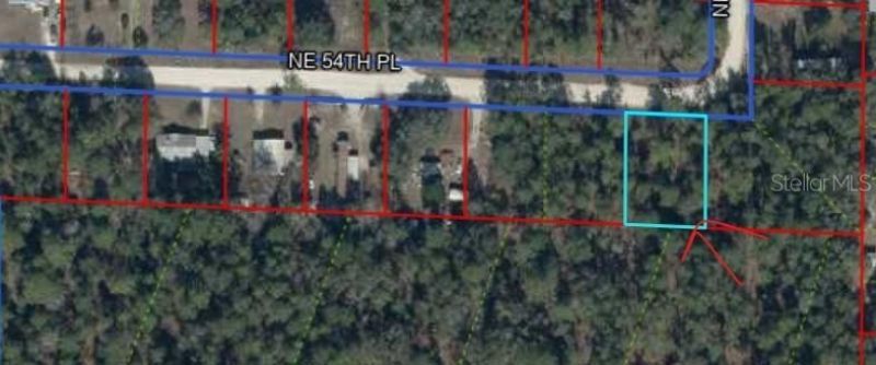 Ne 54 Place, Williston, FL 32696 Photo