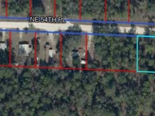 NE 54 PLACE, WILLISTON, FL 32696