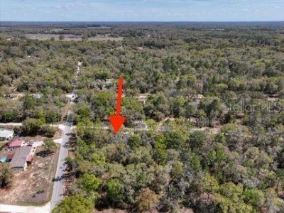 Ne 54 Place, Williston, FL 32696 Photo