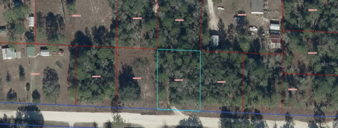 Ne 54 Place, Williston, FL 32696 Photo