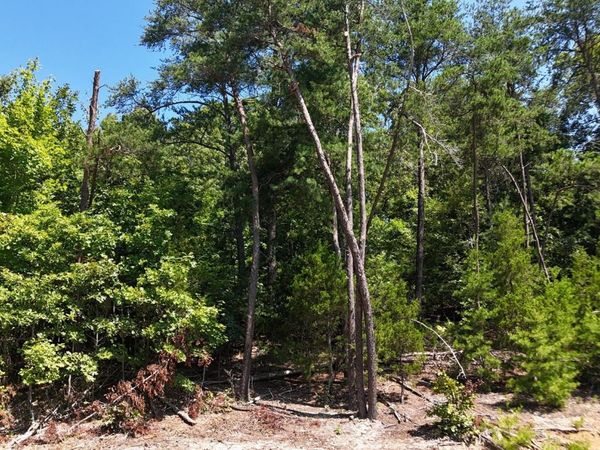 Lot 2 Flat Woods Road, Dandridge, TN 37725