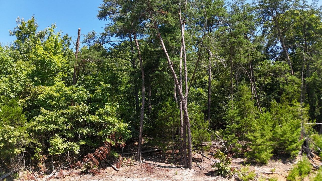 Lot 2 Flat Woods Road, Dandridge, TN 37725 Main Photo
