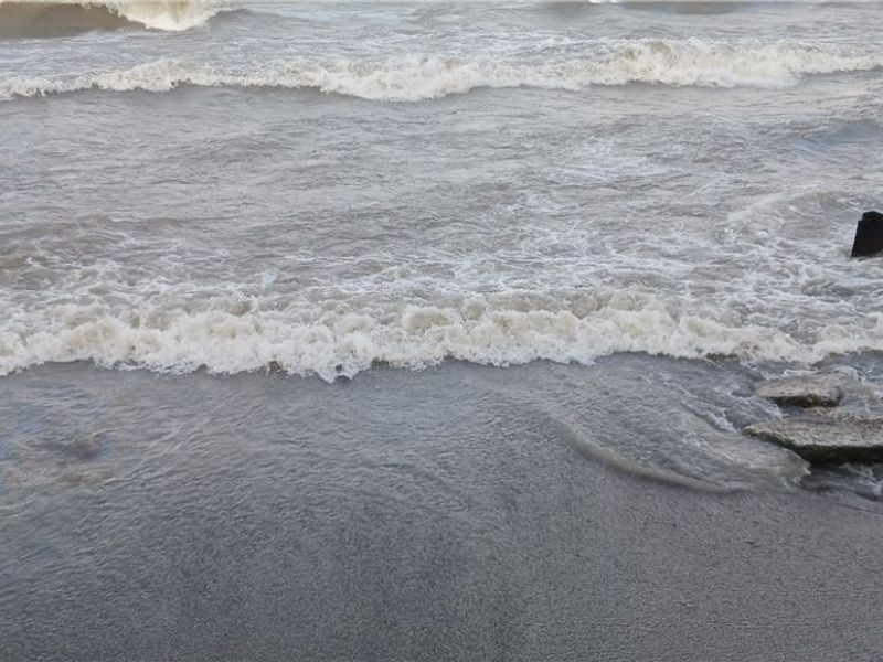 2940 W Erie Avenue, Lorain, OH 44053 Photo 47