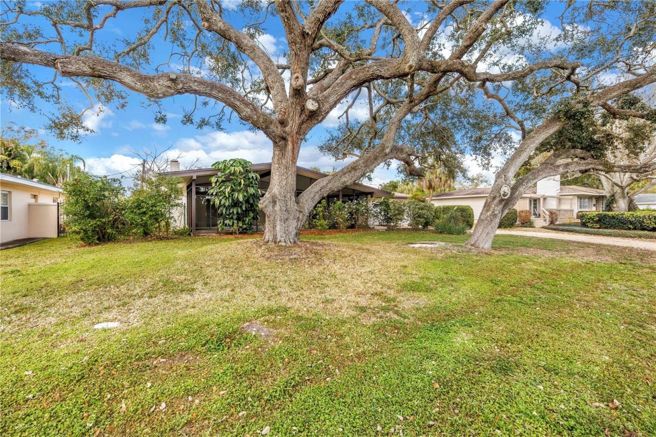 6069 4th Avenue N, Saint Petersburg, FL 33710 Photo