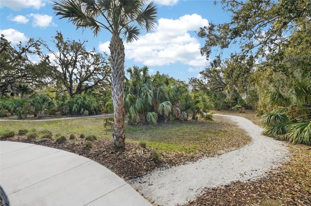 9825 Last Light Glen, Parrish, FL 34219 Photo