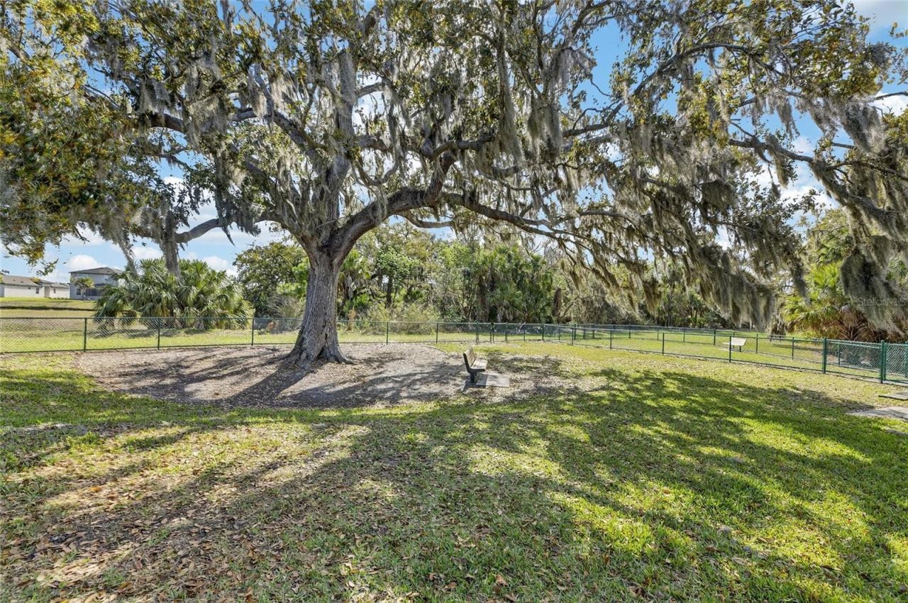 9825 Last Light Glen, Parrish, FL 34219 Photo