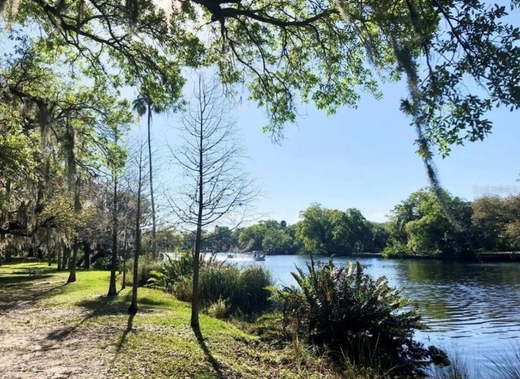 236 W North Street, Tampa, FL 33604 Photo