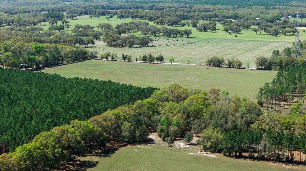 300 NE 708 Avenue , Old Town, FL 32680 Photo