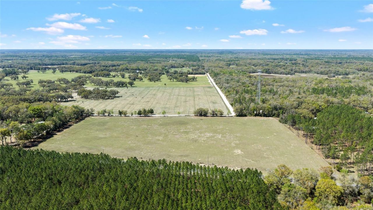 300 NE 708 Avenue , Old Town, FL 32680 Photo