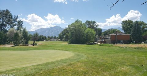 1051 Riverview Drive, Gardnerville, NV 89460 Photo