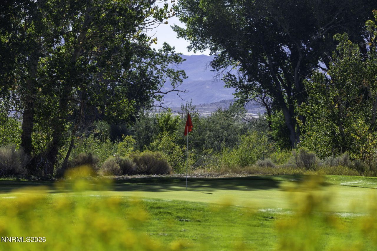 1051 Riverview Drive, Gardnerville, NV 89460 Photo