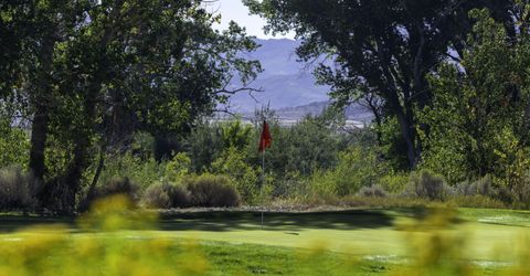 1051 Riverview Drive, Gardnerville, NV 89460 Photo